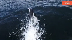 多远都要在一起