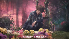 AAA - 说再见之前