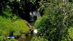 Silence Speaks SECRET GARDEN