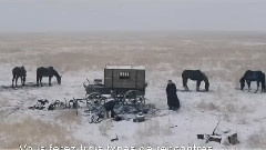 电影<送乡人>法国版预告片