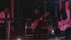 Blossoms - Charlemagne