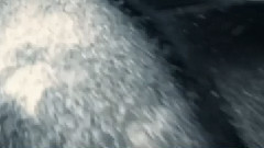 电影<神奇动物在哪里>首支中文预告