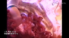 Primary,朴草娥(AOA),Iron - Don't Be Shy