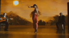 性感的佛拉门戈