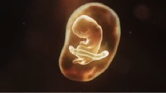 电影<超级名模2>先行版预告片