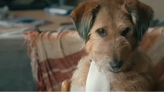 电影<魔法教师>预告片