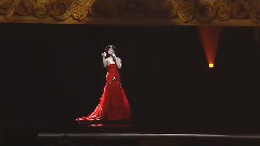 邓丽君 - 2015台北小巨蛋邓丽君纪念演唱会(精华合辑)