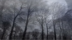 Saturnus Call Of the Raven Moon 2012