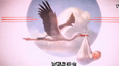 电影<逗鸟外传>先导预告片