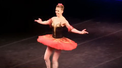 堂吉诃德双人舞