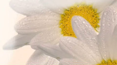 ЕСЛИ Б НЕ БЫЛО ТЕБЯ