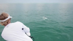 Spring Is In The Air