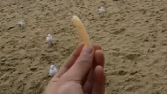 灿烈Ins更新视频一则