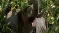 电影<地心历险记2:神秘岛>中文片花