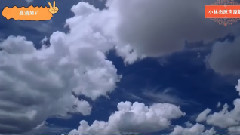 为了你我坚强的活着