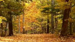 Secret Garden,音乐短片 - Autumn Emotion's Music