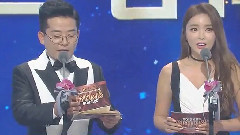 Best Teamwork赏 - 2015KBS演艺大赏 15/12/26