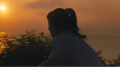 朴树 - 那些花儿