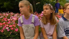 Could You Choose To Use Me?