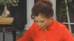 民乐群星 - 剪靛花 古筝独奏