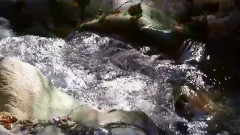 小提琴 共同度过