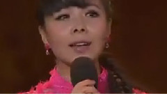 王二妮 - 崖畔上开花