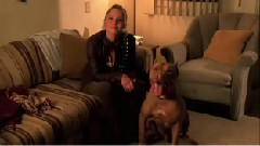 电影<美眉校探>制作特辑