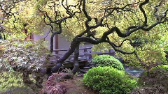 波特兰日本花园