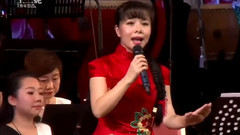 王二妮 - 骑青马 & 黄土地的诉说