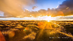 轻音乐 - 青稞飘香日喀则