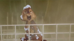 电影<鼠来宝4:萌在囧途>预告片2