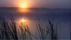 满山红叶似彩霞 古筝独奏