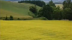一道道水来一道道山 古筝独奏