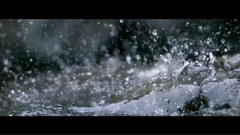 无声的雨 无声的青春