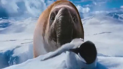 电影<快乐的大脚2>电视宣传片2