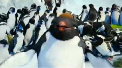 电影<快乐的大脚2>制作特辑2