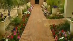 杜宇哀 古筝独奏