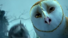 电影<猫头鹰王国:守卫者传奇> 精彩片段