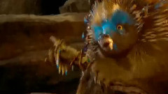 电影<猫头鹰王国:守卫者传奇> 精彩中文片段之5