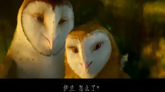 电影<猫头鹰王国:守卫者传奇> 精彩中文片段之4