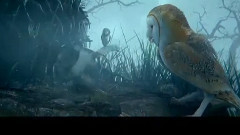 电影<猫头鹰王国:守卫者传奇> 精彩中文片段之3