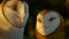 电影<猫头鹰王国:守卫者传奇> 精彩片段