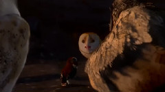 电影<猫头鹰王国:守卫者传奇> 精彩中文片段之10