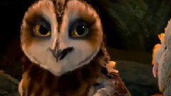 电影<猫头鹰王国:守卫者传奇> 精彩中文片段之9
