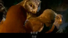 电影<猫头鹰王国:守卫者传奇> 精彩中文片段之7
