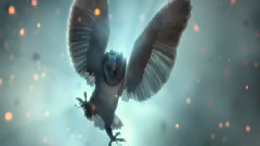 电影<猫头鹰王国:守卫者传奇> 预告片1