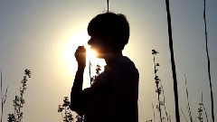 JY伽怡 - 我不难过