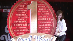 王心凌 - 主要看气质的由来 王心凌演唱会庆功宴