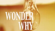 Julian Perretta - Wonder Why