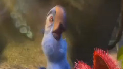 电影<里约大冒险2>中文制作特辑之家庭